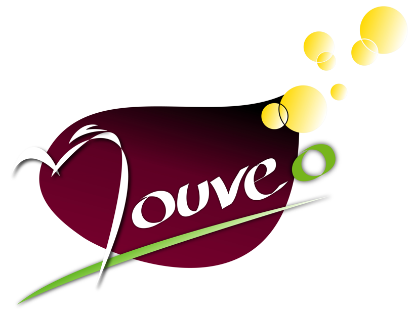 Logo Mouveo couleur